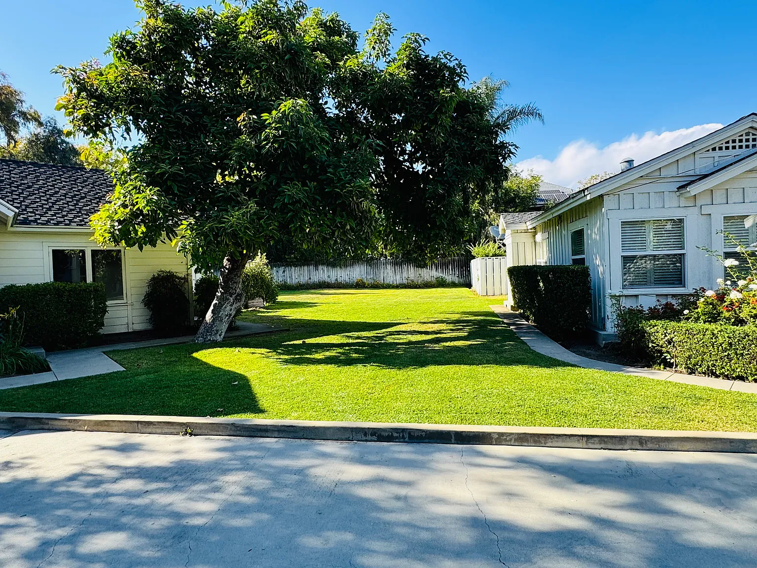 1 bed, 350 sqft, $2,300 — Photo 4