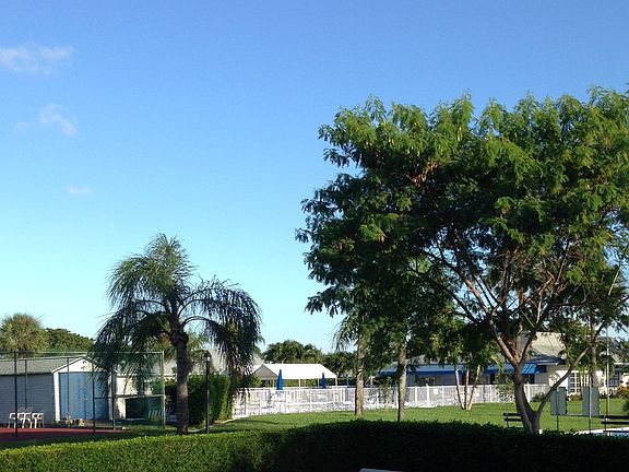 Club House and Amenities