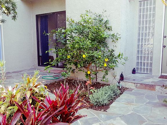 Entrance via cute Patio garden