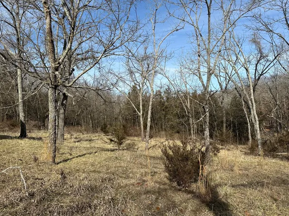 1095 Ponderosa Road, Highlandville, MO 65669