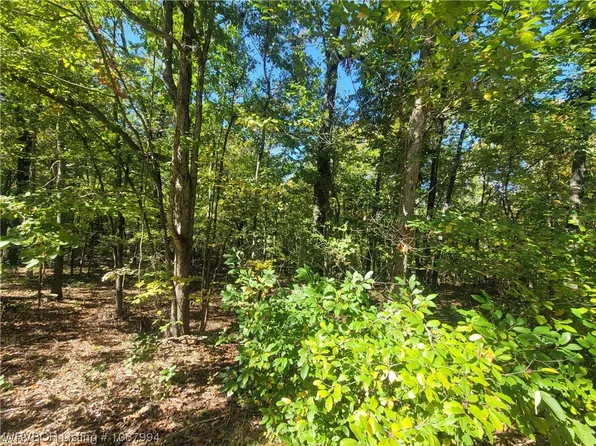 2511 Crescent Horsehoe Bnd, Horseshoe Bend, AR 72512