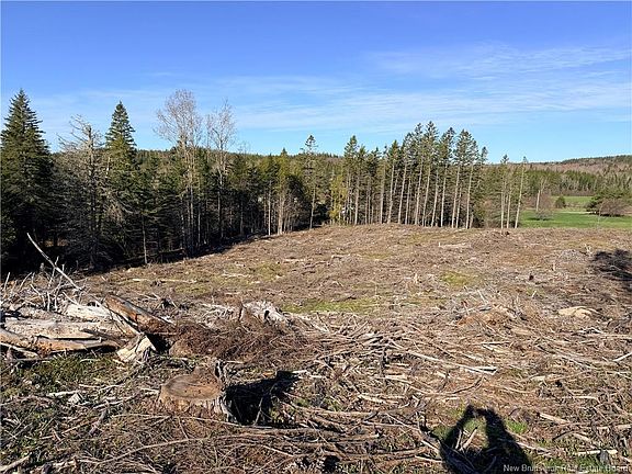 4th image of LOT Smith Rd #C
