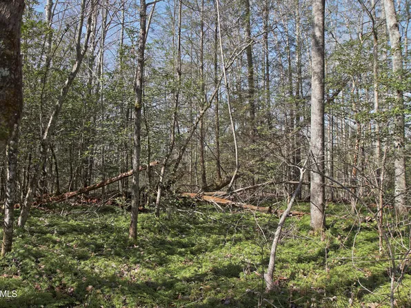 LOT 9 Mount Helen Rd, Allardt, TN 38504