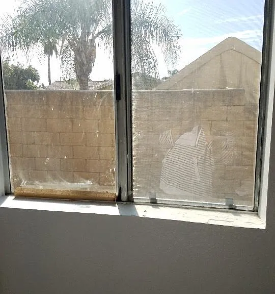 Kitchen window