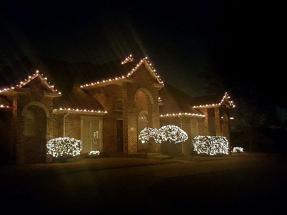 3rd image of 423 Softwood Dr