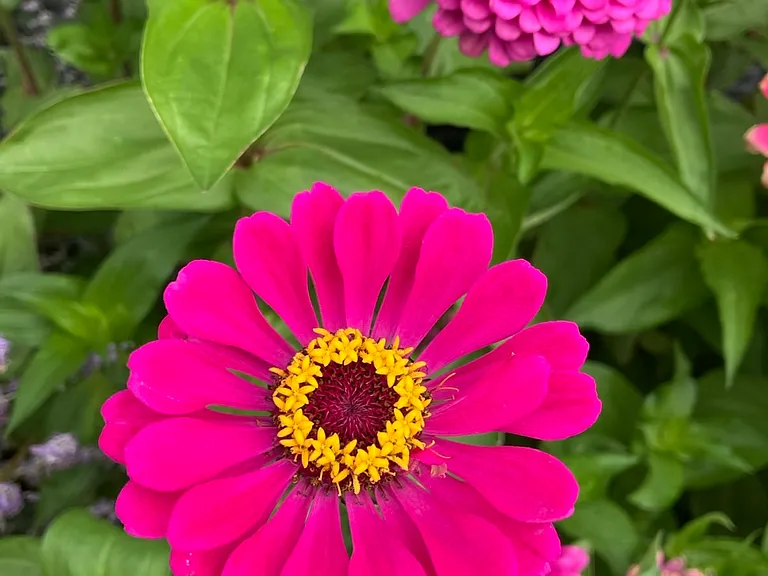 239 2nd Ave NE #4 — Photo 17