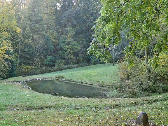Pond and lots of land