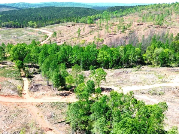 Mines Rd #218 acres, Talladega, AL 35160