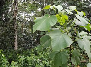 Kahala St LOT 9, Pahoa, HI 96778