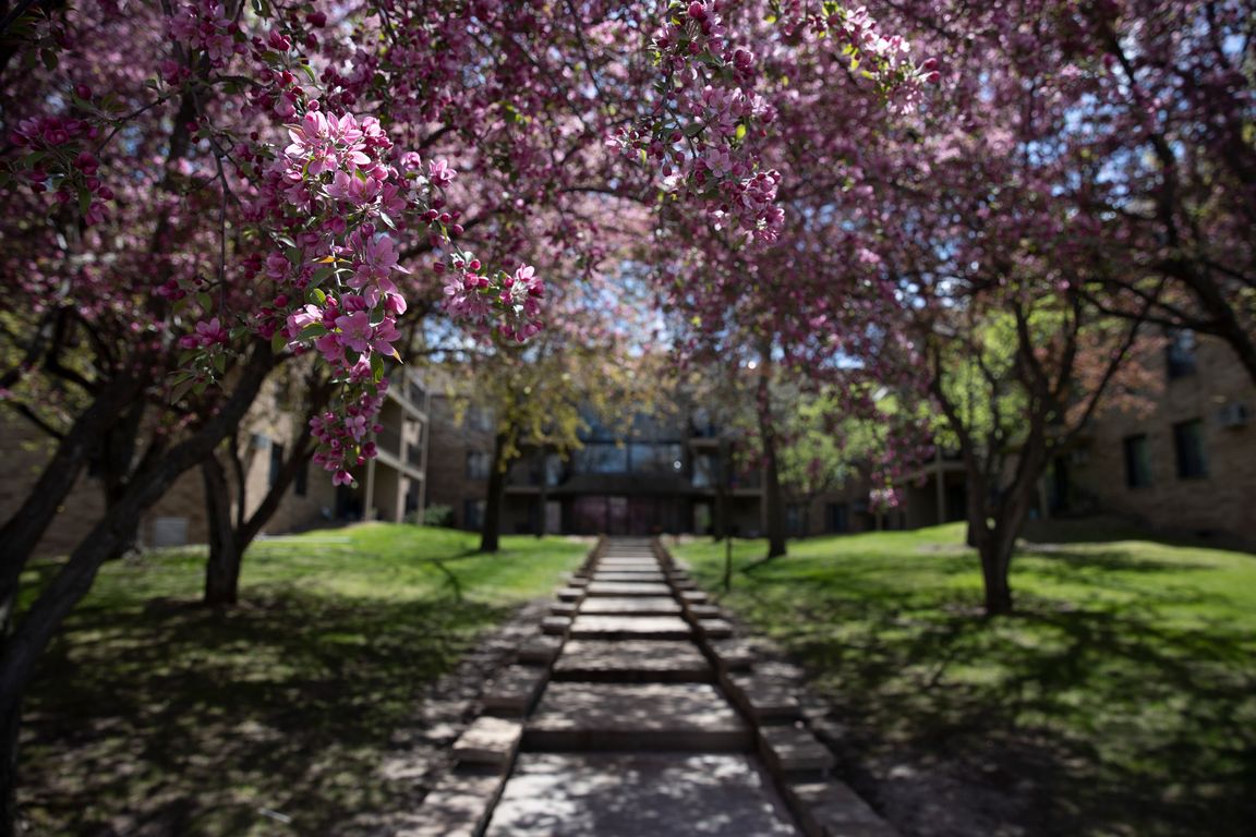 ...spring...