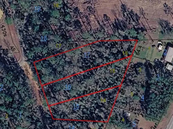 Holly Drive Lots 14 15 #&-16, Abbeville, AL 36310