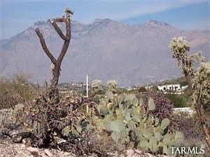 1st image of 3989 N River Gate Pl