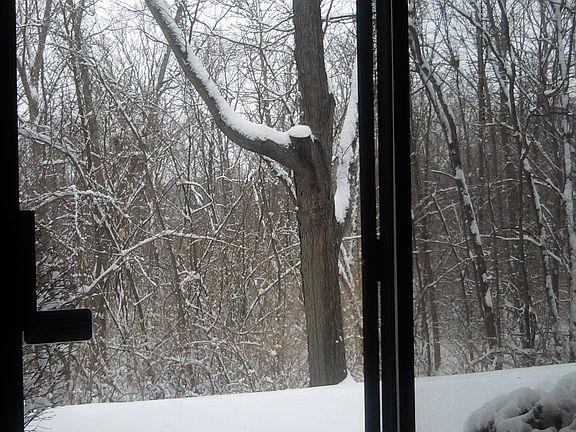 Patio door view