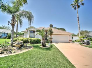 36 Parkview Ln, Ormond Beach, FL 32174