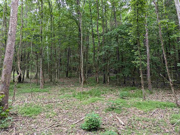 3rd image of 200 First Creek Rd
