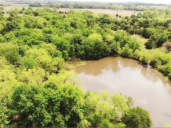 Ponds for fish and cattle 