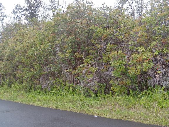 5th image of 40th St Lot 42