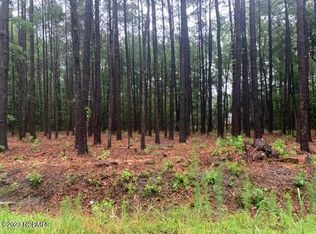 119 Country View Ct, Little River, SC 29566