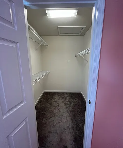 10266 Ibis Dr — Photo 13