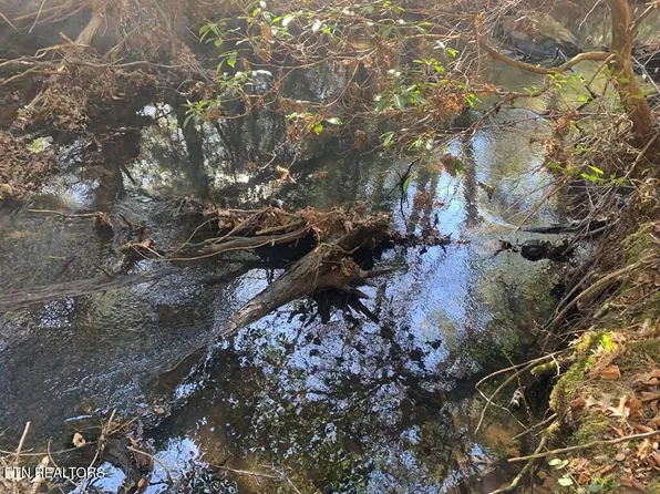 1 Lone Wolf Trl, Spencer, TN 38585