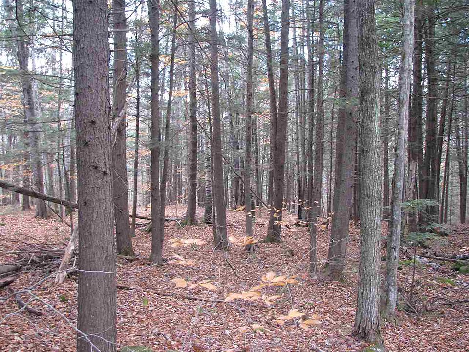 2nd image of Lot 100 & 101 Scenic Vista Lane #100 & 101