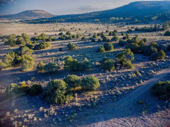 Block 10 Lot 1 Conejos Trails Rd, Conejos, CO 81120