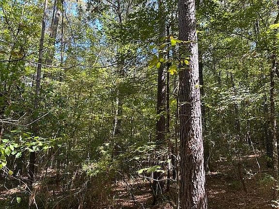 4th image of County Road 4682