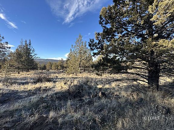 5th image of Canvasback Dr