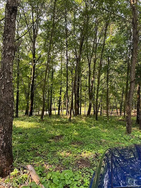5 Sleaford-parcel 5 - 2.5 Acres Rd photo 1