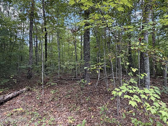 4th image of 144 Horse Creek Rd