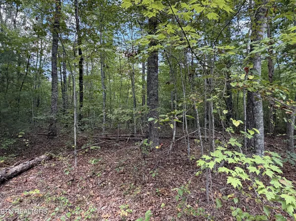 634 Horse Creek Rd, Jamestown, TN 38556