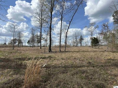 0 Cove View Rd, Farmerville, LA, 71241