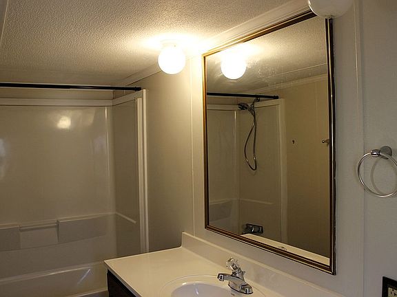 Master bathroom mirror