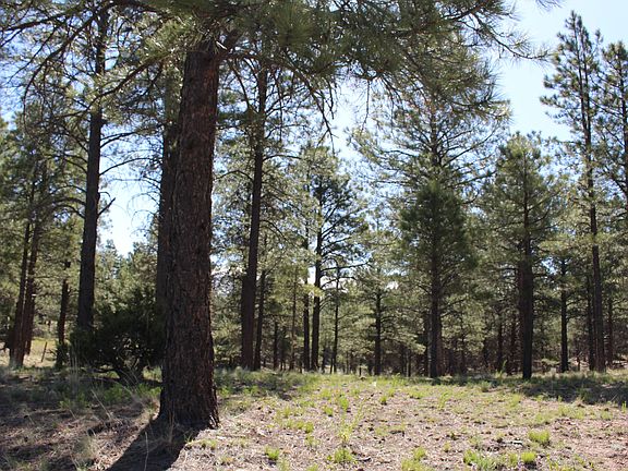 5th image of 2980 S Solitaires Canyon Dr