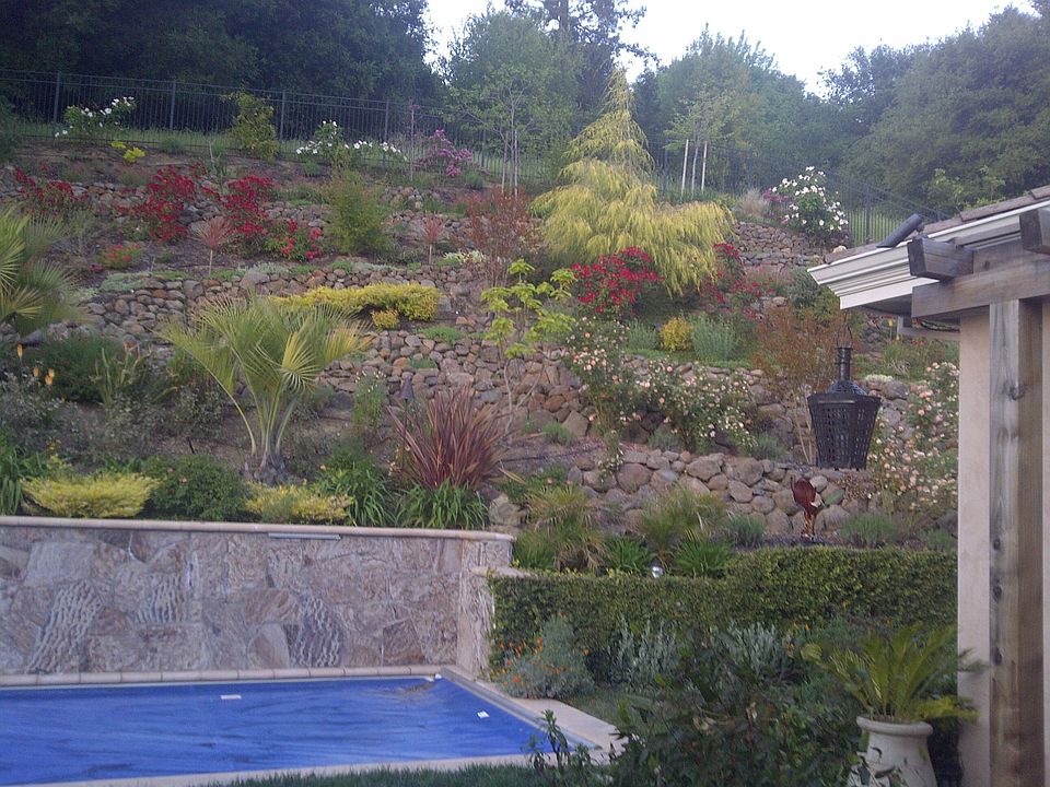 Back yard haven with pool