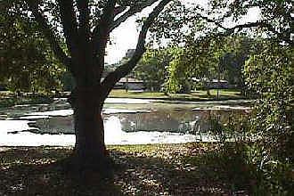 3rd image of 2672 Oakwood Dr