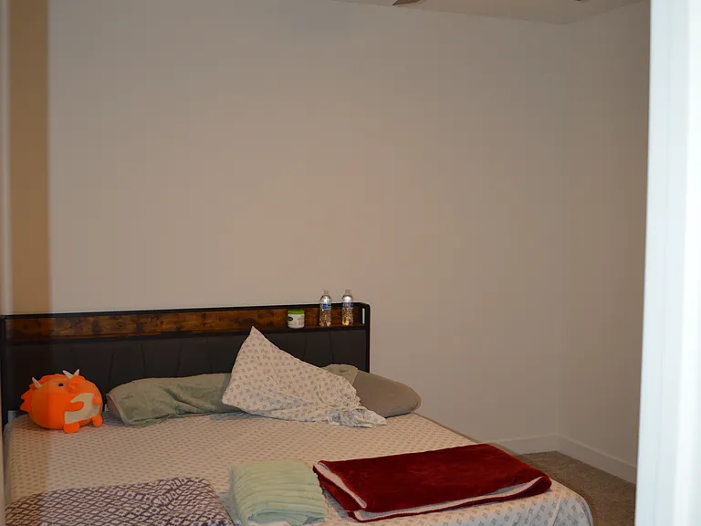 4379 Risen Star Way — Photo 37