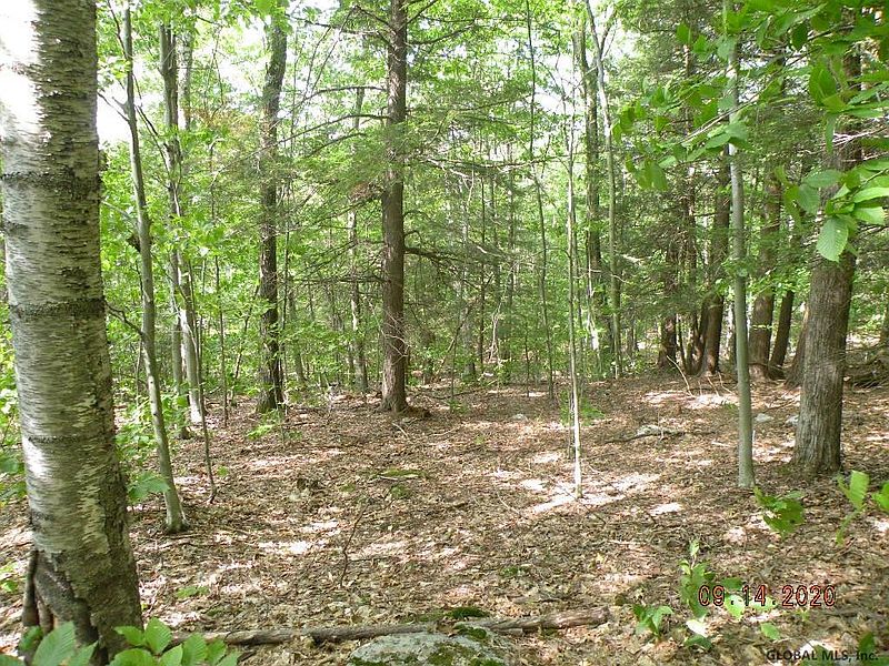 2nd image of WILDERNESS Way