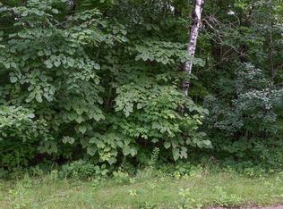 Tbd Banyan Drive Roosevelt Twp, Garrison, MN 56450