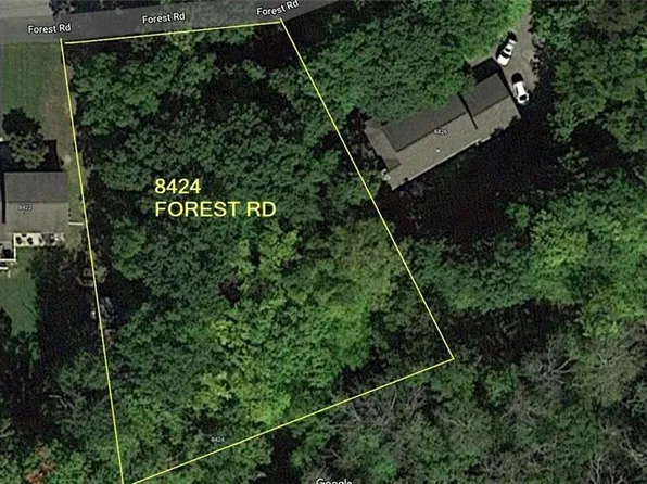 8424 Forest Rd, Gasport, NY 14067