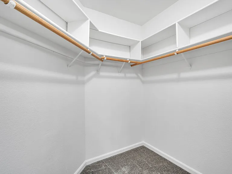 244 Delta Leaf Way — Photo 20