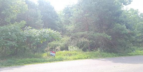 4th image of 164 Scotch Pine Ln