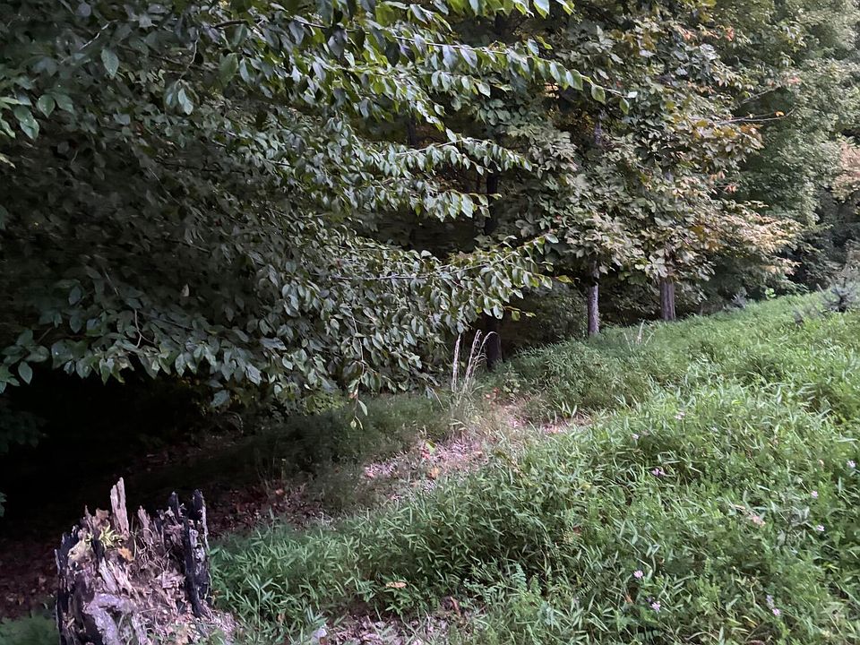 2nd image of 9 Poplar Pl