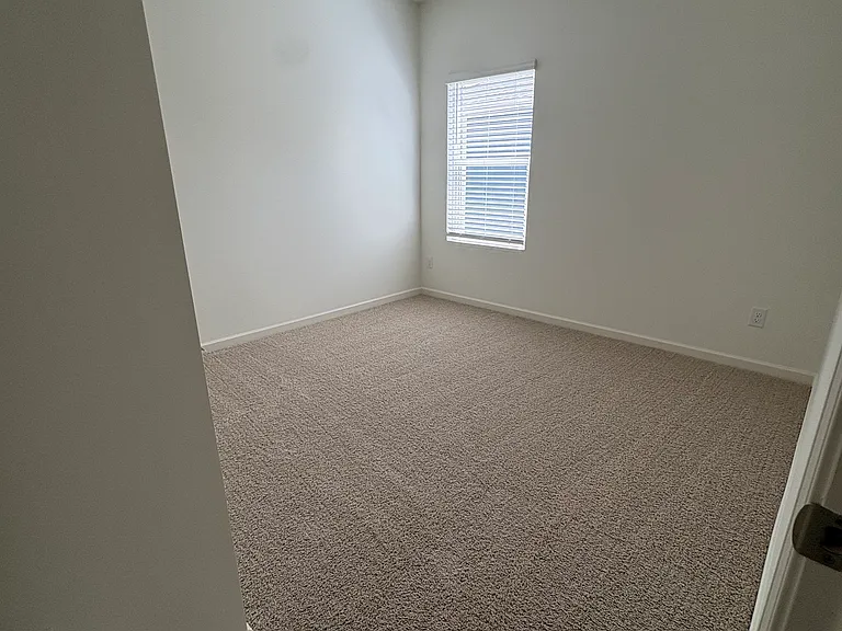 9894 Chelsea Park Trl — Photo 15