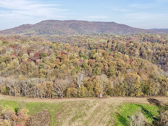 2nd image of 270 Higgins Rd