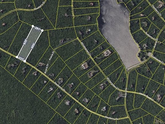 4th image of 1134 Dewberry Dr