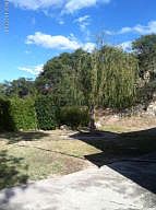 3rd image of 457 N Placita Adelina