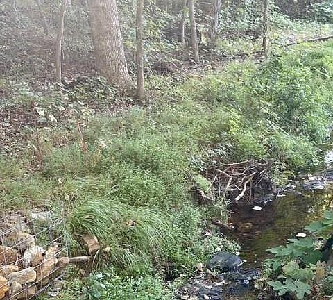 5th image of 0 Old Roanoke Rd
