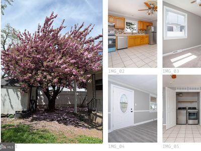 8249 Bullneck Rd, Baltimore, MD, 21222