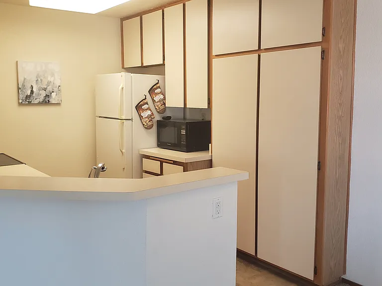 Plenty of cabinet space in kitchen